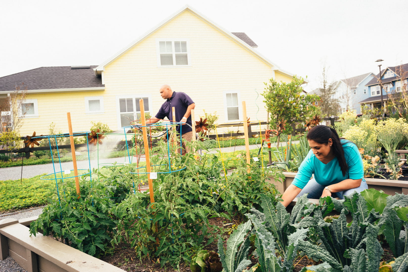 Community garden 1